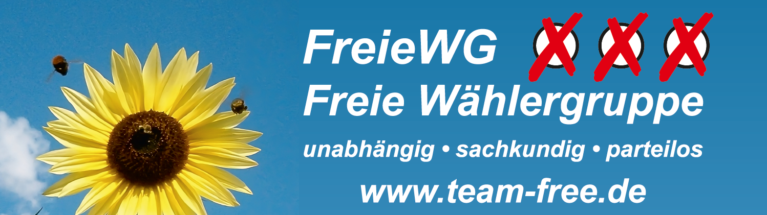 TeamFree